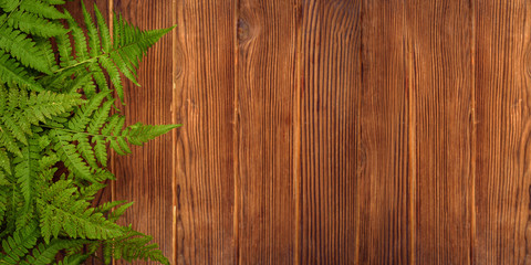green fern leaves on brown oak wood background with copy space