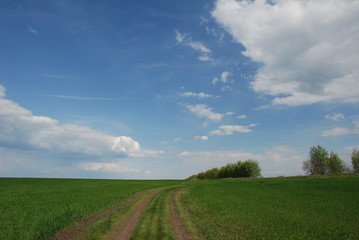 spring fields