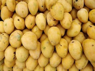 Fresh Mango in the market