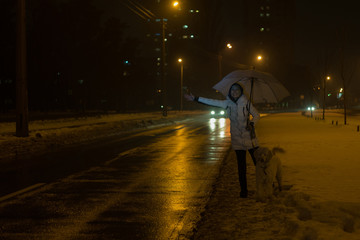 A woman with a dog catches a car on the road at night in winter.