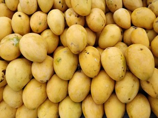 Fresh Mango in the market
