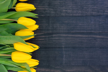Yellow tulips on the dark wooden background with copy space - 255180219