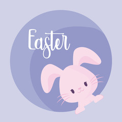 cute rabbit of easter in frame circular