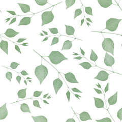 herbs branch flora pattern on a white