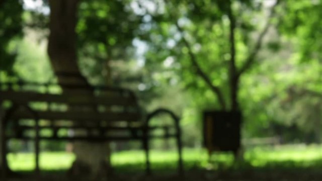bench under tree in the park out of focus bokeh