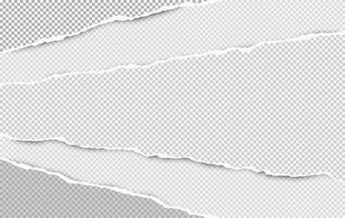 Torn squared white horizontal paper strips with space for text. Vector illustration background