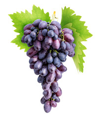 Fototapeta premium Branch of grapes isolated on white background