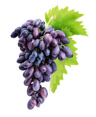 Fototapeta premium Branch of grapes isolated on white background