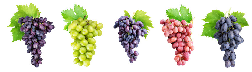 Fototapeta Branch of grapes isolated on white background obraz