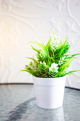 Flowerpot on the table in a coffee shop