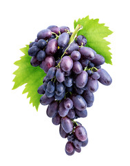 Branch of grapes isolated on white background