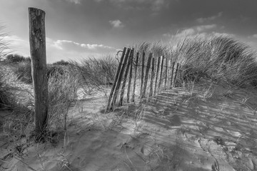 Sun and Sand in Black and White