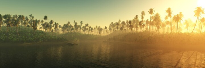 Amazing Jungles, Palms over the River, Sunset in the Jungle, Sunrise over Impassable Woods over Water,