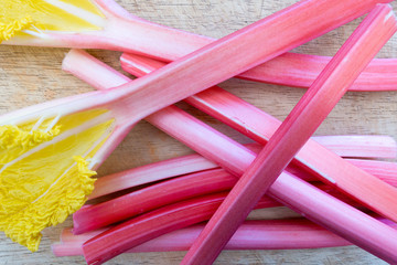 forced rhubarb