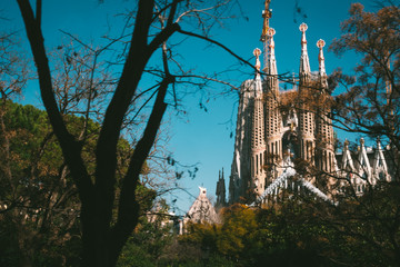 La Sagrada Familia zwischen Bäumen