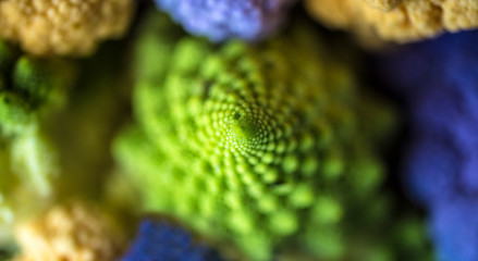 broccolo romano verdura colorato luce