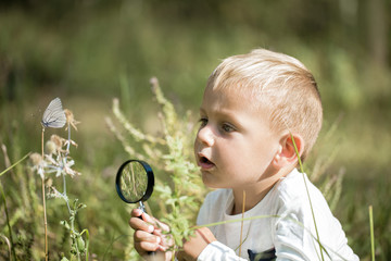 Young researcher explores nature with a magnifying glass