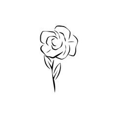 Rose vector drawing