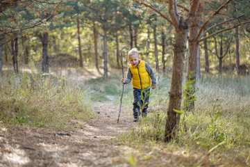 Fototapeta premium Young boy with a stick explores nature