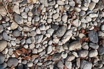 Small stone and dried leaves background.