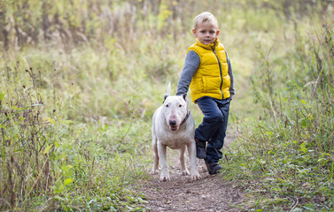 Young boy and his best friend white English bull terrier