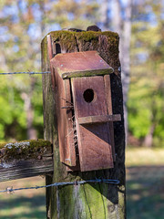 Birdhouse on a fence post. 