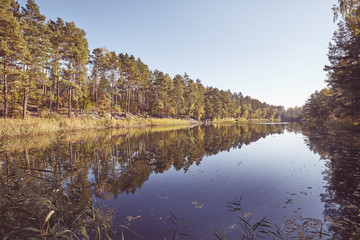 Forest reflected in a lake, color toning applied.