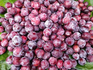 Grewia asiatica or Falsa fruits of Southeast Asia