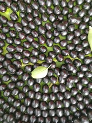 Closeup of Jamun Berry