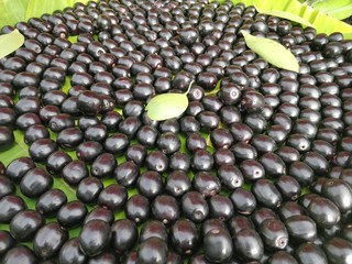 Closeup of Jamun Berry