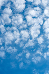 Vertical photo of white altocumulus clouds in blue sky