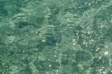 Agua verde