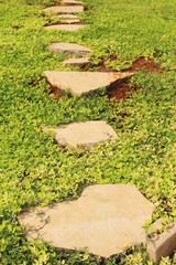 Garden walk way with stone in nature