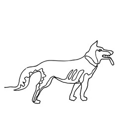 Continuous one line drawing. Dog. Minimalism style. Vector Ink illustration of German Shepherd  for your design,logo, card, banner, poster, flyer.
