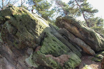 Obraz premium old stones in Brochterbeck Germany