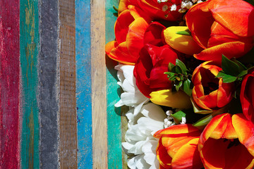 tulipani rossi bianchi e gialli