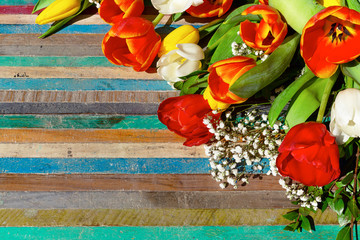 belli tulipani colorati