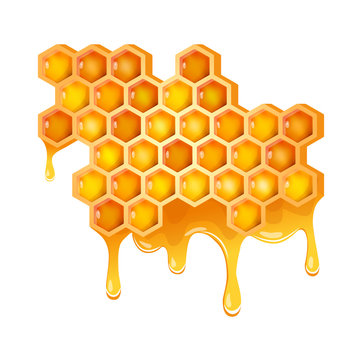 Honeycomb with flowing honey