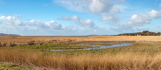 Panorama Schilf und Boddenlandschaft