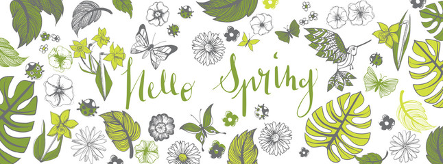 Spring illustrations banner © Orkidia