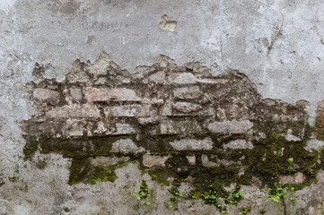 Empty Old Brick Wall Texture. Painted Distressed Wall Surface. Grungy Wide Brickwall. Grunge Red Stonewall Background. Shabby Building Facade With Damaged Plaster. Abstract Web Banner. Copy Space.