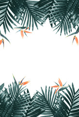Fototapeta na wymiar Tropical leaves foliage plant close up with white copy space background.Nature and summer concepts ideas