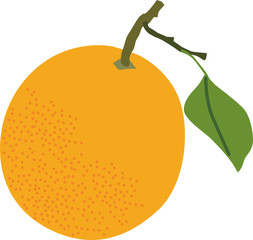 オレンジ,果物,フルーツ,イラスト,ベクター,南国,ビタミンC,栄養,甘い,デザート,食材,白バック,フレッシュ,ビタミン,みかん,ミカン