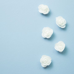 White rose flower pattern on blue background
