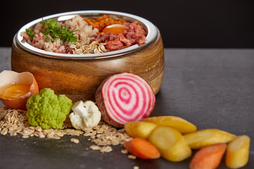 Healthy food for dogs concept