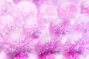 Obraz premium pink hydrogel balls