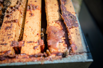 Propolis from hive
