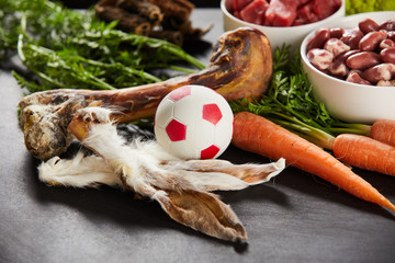 Rabbits ears, fresh bone and ball for a dog