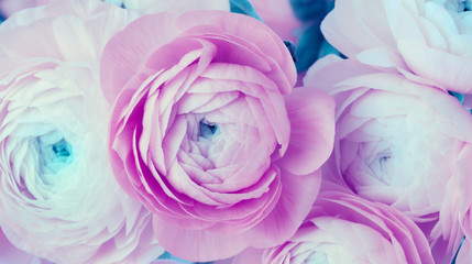 Fototapeta na wymiar Pink anemone flower bouquet