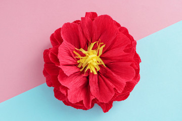 red paper flower on duo tone diagonal background top view